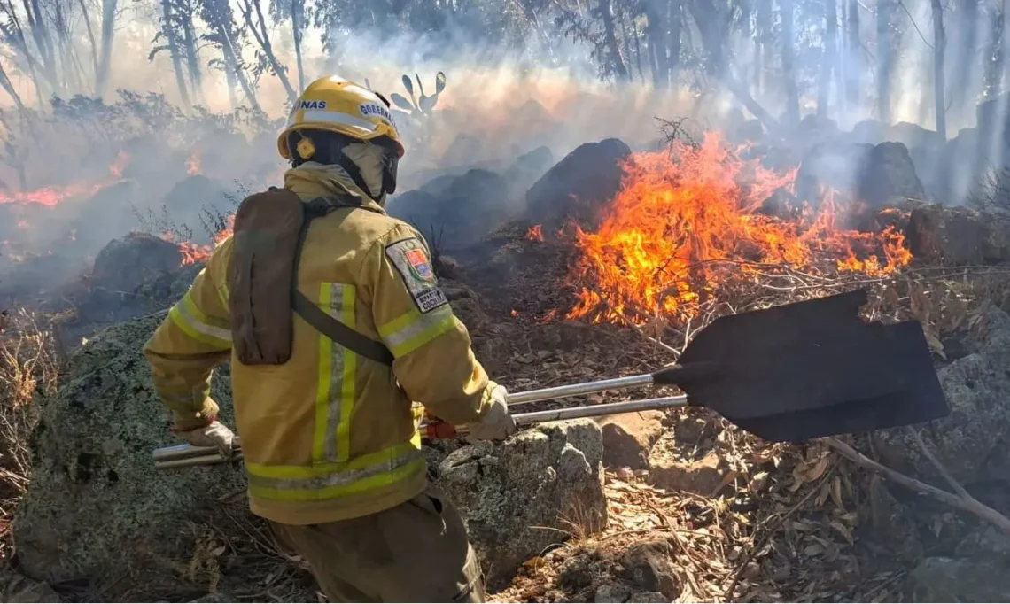 Vecinos denuncian que incendio en el parque Tunari fue provocado