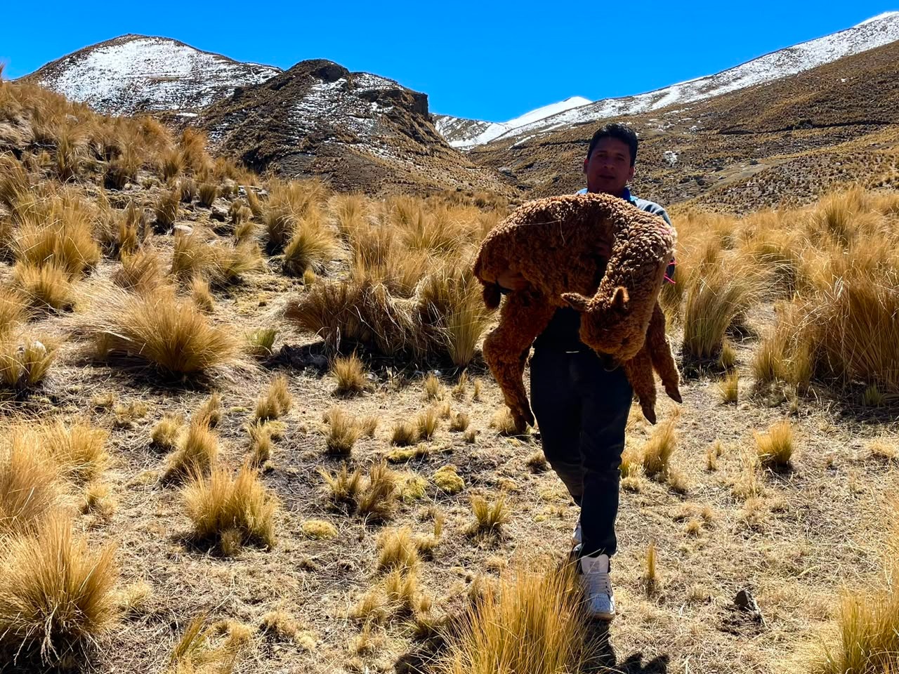 GOBERNACIÓN INSPECCIONA AFECTACIONES POR NEVADAS EN COCAPATA Y EVALÚA ACCIONES DE APOYO A FAMILIAS PRODUCTORAS