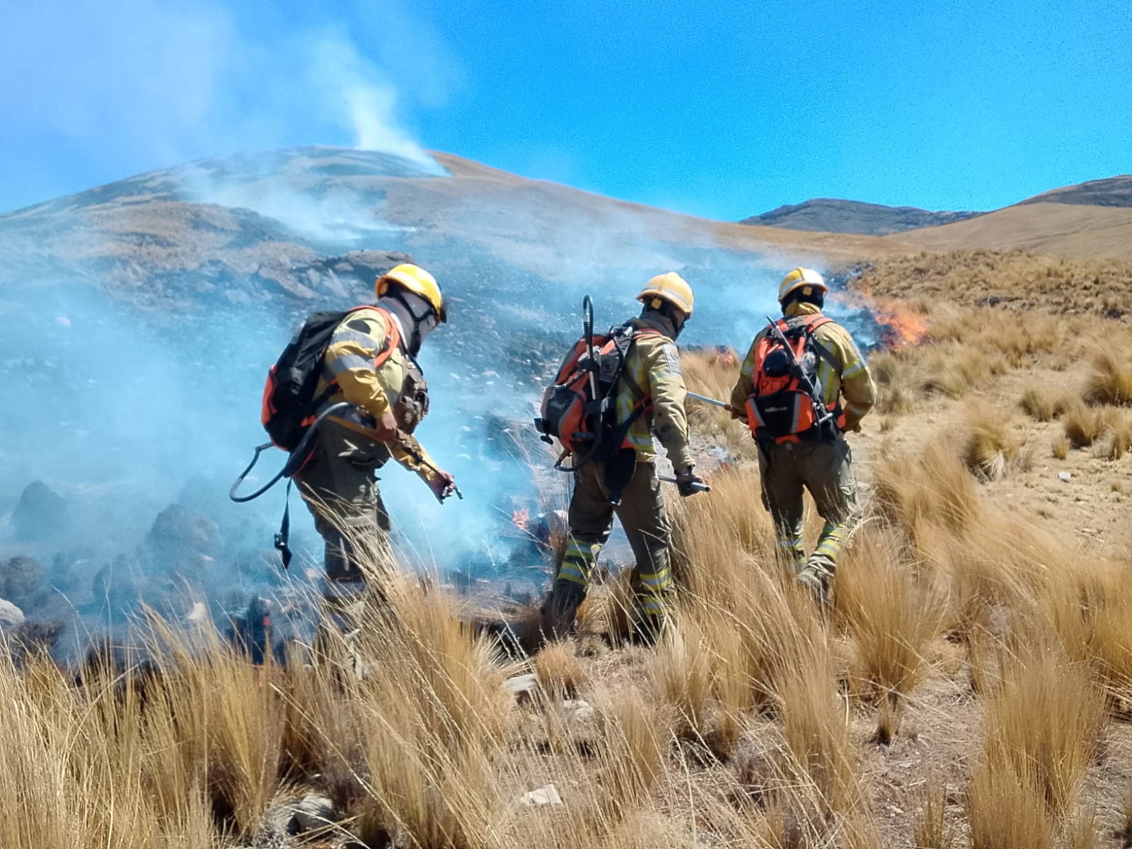 Cochabamba registra 66 incendios forestales con una afectación aproximada de 2.760 hectáreas; el Parque Nacional Tunari
